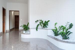 Fotografie z fotogalerie ubytování Casa da Ida v destinaci Lecce