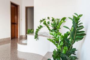 Fotografie z fotogalerie ubytování Casa da Ida v destinaci Lecce