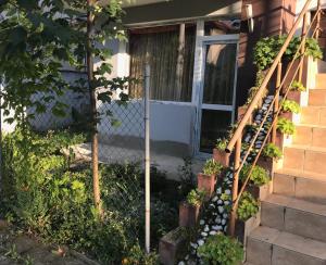 una casa con un montón de plantas en las escaleras en Apartment Kirili and Metodi 41-8, en Berkovitsa