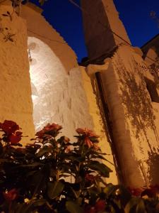 roślina przed budynkiem z wieżą zegarową w obiekcie Trulli D'Angiò w Alberobello
