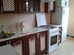 キスロヴォツクにあるАпартаментыのキッチン(コンロ、冷蔵庫付)