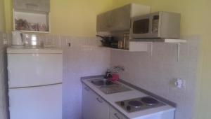 Eldhús eða eldhúskrókur á Apartment Stanko
