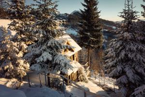 a cabin in the woods with snow covered trees at Kostovac Boutique Homes - House 1 in Kopaonik