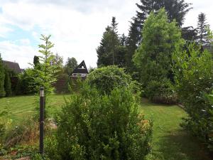 Ein Garten an der Unterkunft Feriendorf Freilingen 151 A