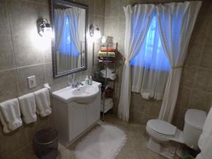 een badkamer met een wastafel, een toilet en een spiegel bij StoneWall House in Lake Elmo