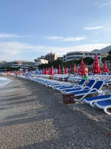a row of lounge chairs and umbrellas on a beach at Apartmani Belma in Dobra Voda
