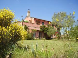 CollecorvinoにあるAbruzzo Casa Campagnaの畑中の古家