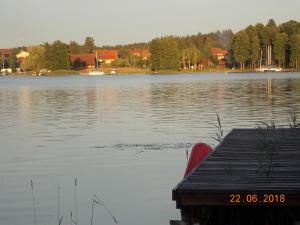 Príroda v okolí chaty v prírode