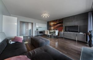 Posezení v ubytování Apartament Superior de Lux - Porta Mare