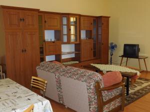 a living room with a couch and a television at Bodzavirág Vendégház in Hegykő
