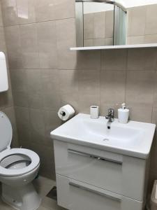 Koupelna v ubytování Apartman Mirjana with terrace and free parking + 22 fotografií