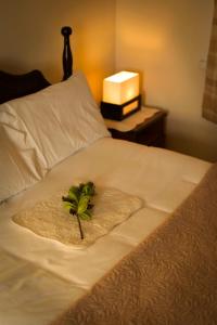 a towel with a plant on top of a bed at Atlantic View Apartments in Limavady