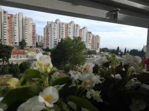 Nespecifikovaný výhled na destinaci Split nebo výhled na město při pohledu z apartmánu + 6 fotografií