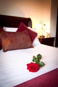 Voodi või voodid majutusasutuse Aherlow House Hotel & Lodges toas