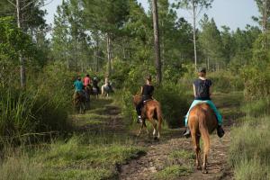 a group of people riding horses on a trail at Finca Ixobel in Ixobel