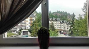 a window with a potted plant on a window sill at Relax holiday in Sestriere