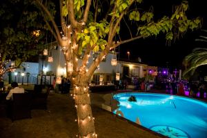 The swimming pool at or close to Los Bronces