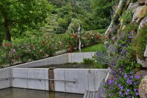 A garden outside Residence Blumenthalerhof