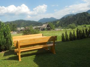 Galeriebild der Unterkunft Apartmaji Bremec in Bohinj