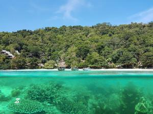 a coral reef in the water next to a beach at Phi Phi Relax Beach Resort in Phi Phi Islands