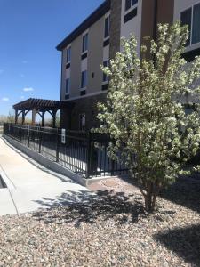 a tree in front of a building with a fence at Heartland Inn and Suites in Wheatland