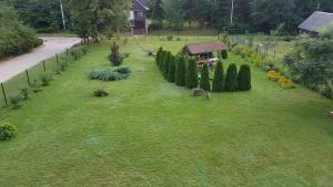 Ogród w obiekcie Pokoje Gościnne Szpak
