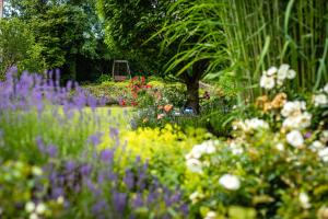 Giardino di Boutique-Hotel Alter Gerichtshof