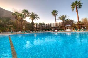 a large swimming pool with palm trees and a mountain at Leonardo Inn Hotel Dead Sea in Ein Bokek