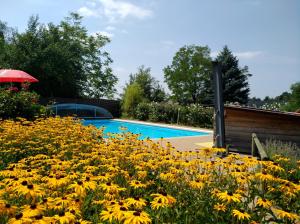 Piscina di Hotel Domittner o nelle vicinanze