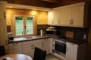 uma cozinha com armários brancos, um lavatório e uma janela em Ferienhaus Wolfs-Revier em Drognitz