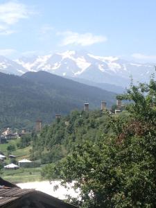 Paesaggio naturale nelle vicinanze dell'affittacamere
