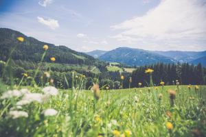 Paesaggio naturale nelle vicinanze dell'hotel