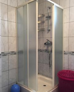 a shower with a glass door in a bathroom at House Antonia in Grabovac
