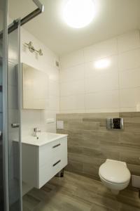 a bathroom with a toilet and a sink at Hotel Kolorowa in Karpacz