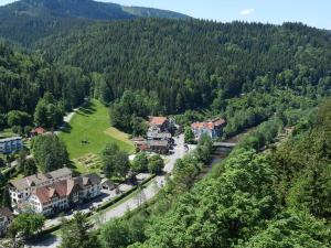 Gallery image of Ferienwohnungen in Schönmünzach in Baiersbronn