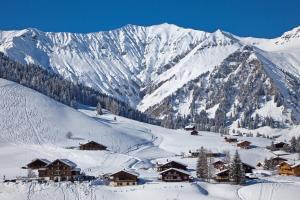 Hotel Des Alpes v zimě