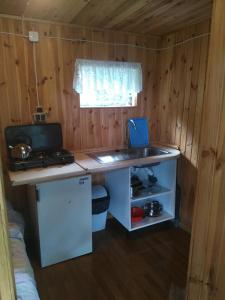 cocina con encimera y lavabo en una habitación en Pod Gwiazdami Lejkowo, en Lejkowo