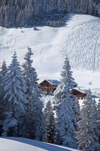 Hotel Des Alpes v zimě