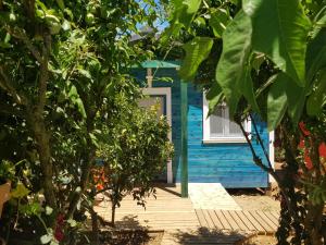 Ogród w obiekcie Las casas de Colinas