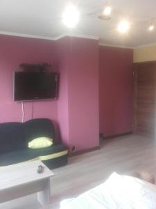 TV a/nebo společenská místnost v ubytování Pokoje i domki Monika