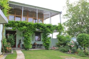Una casa con un sacco di edera che cresce sopra. di Villa Kursa a Sighnaghi
