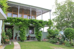 Zahrada ubytování Villa Kursa