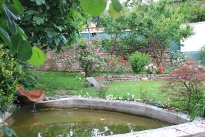 Zahrada ubytování Villa Kursa