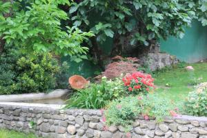 Zahrada ubytování Villa Kursa
