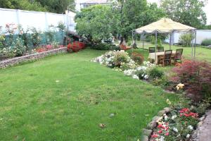 Zahrada ubytování Villa Kursa