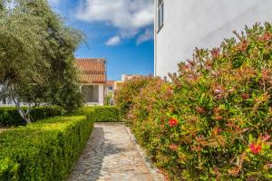 A garden outside Chandris Apartments
