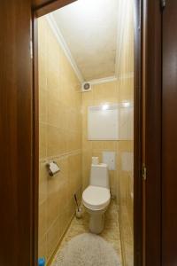 a small bathroom with a toilet and a mirror at Prospekt Geroiv Stalingradu Apartments in Kyiv