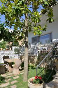un albero in un cortile con tavolo e sedie di Alba dei Trulli ad Alberobello