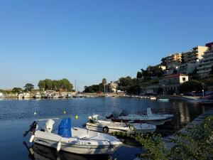 Príroda v okolí apartmánu + 21 fotografií