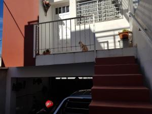 un perro sentado en el balcón de un edificio en Alojamiento Cba Observatorio en Córdoba